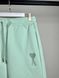 Shorts Ami light green