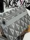 Dior bag gray Safari, In stock